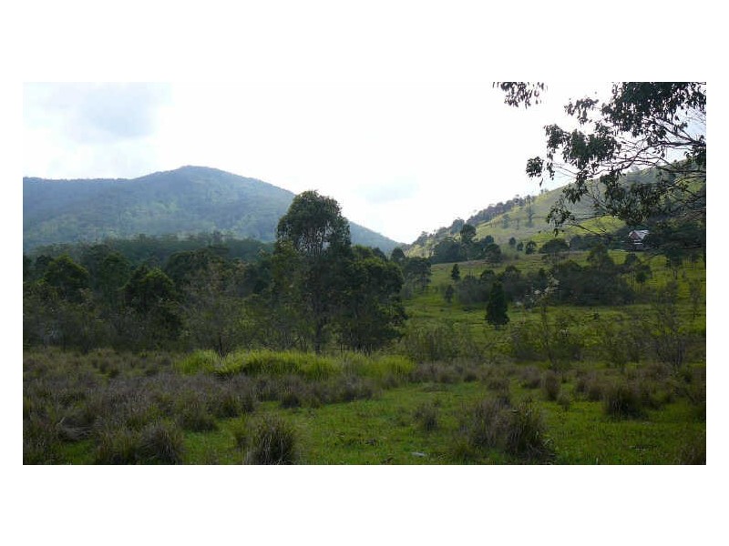 Mount George NSW 2424
