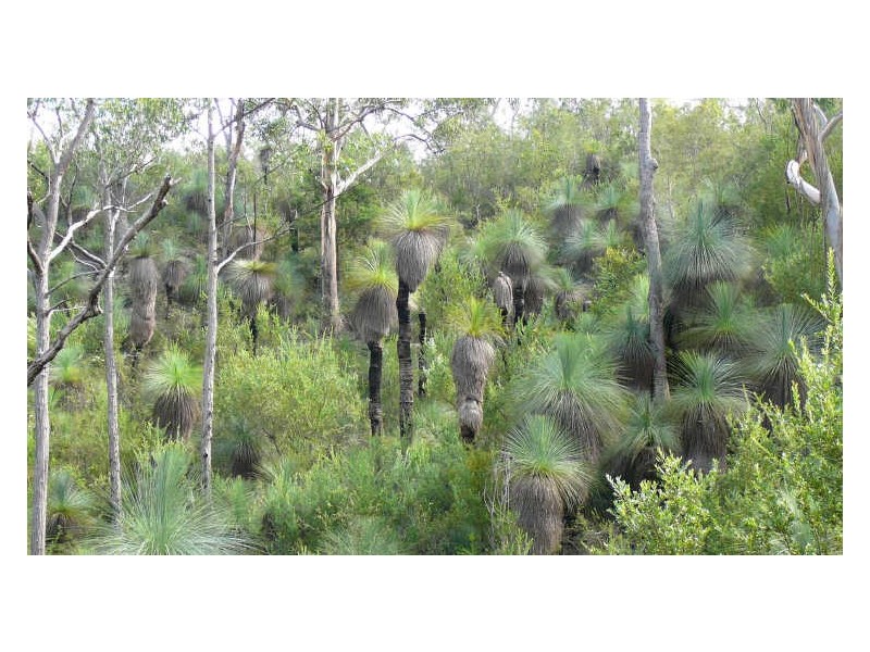 Mount George NSW 2424