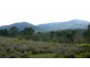 Mount George NSW 2424