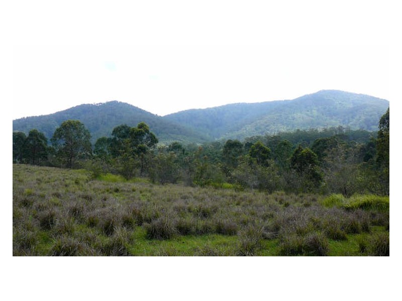 Mount George NSW 2424
