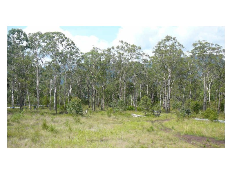 Mount George NSW 2424