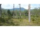 Mount George NSW 2424