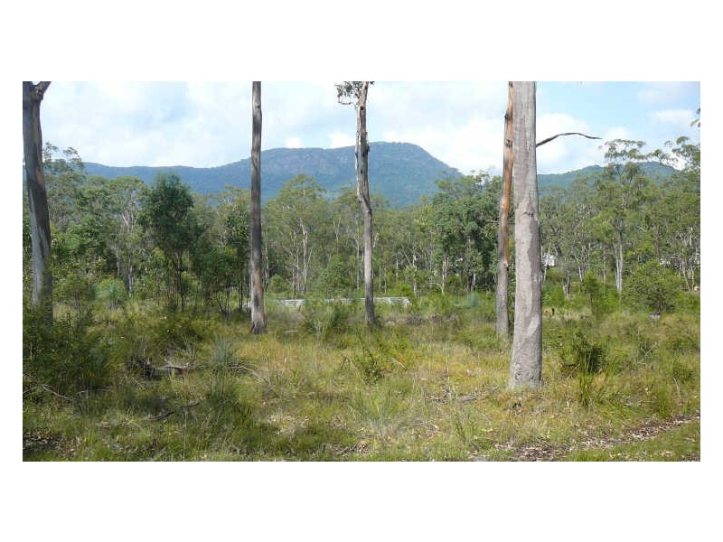 Mount George NSW 2424