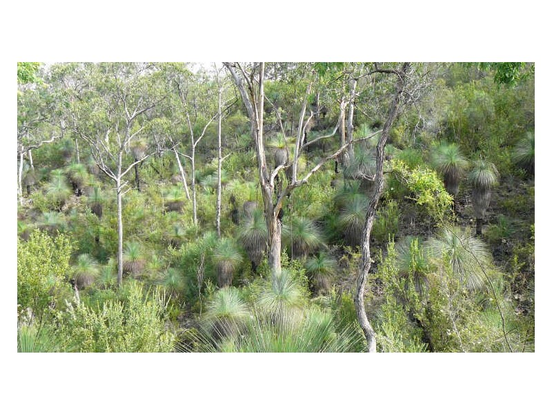 Mount George NSW 2424