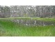 Mount George NSW 2424