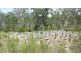 Mount George NSW 2424