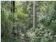 Mount George NSW 2424