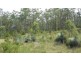 Mount George NSW 2424