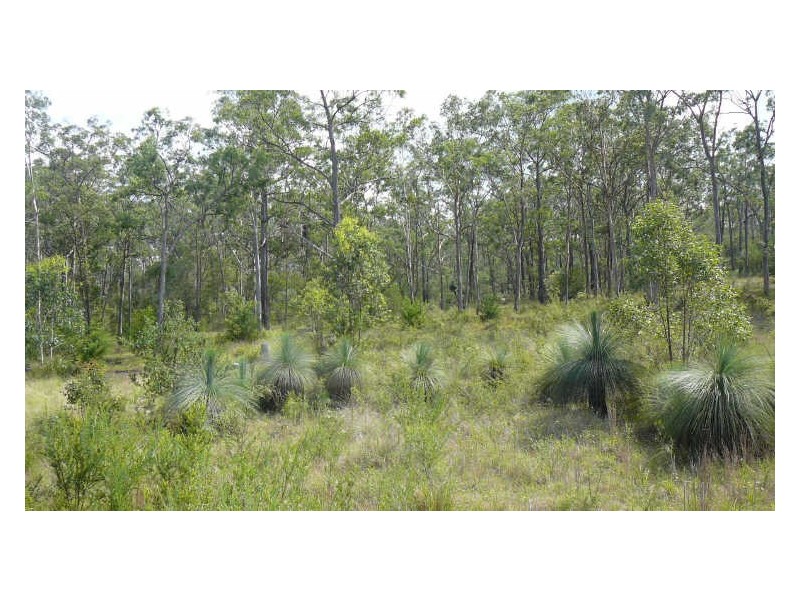 Mount George NSW 2424