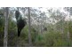 Mount George NSW 2424