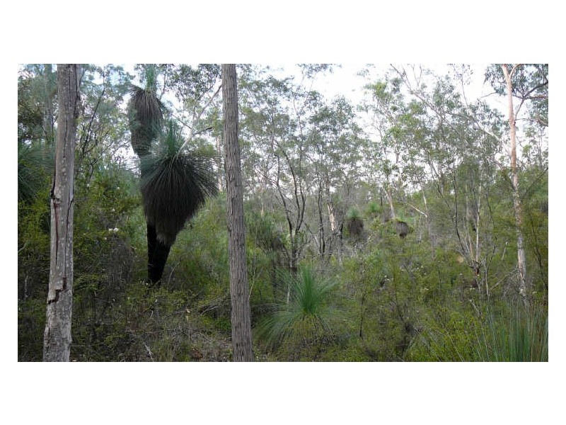Mount George NSW 2424