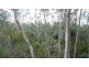 Mount George NSW 2424