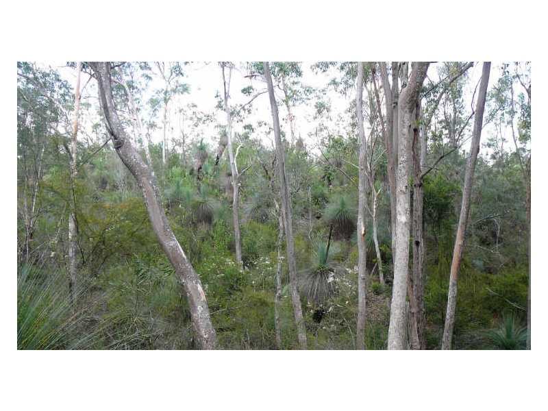 Mount George NSW 2424