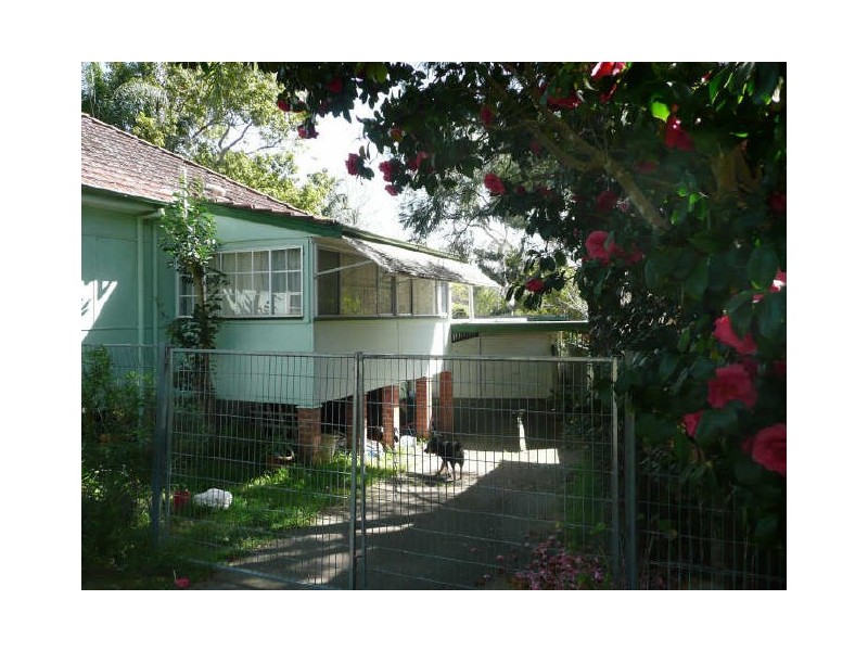 Wingham NSW 2429