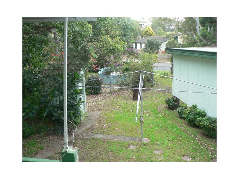 Wingham NSW 2429
