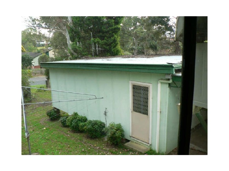 Wingham NSW 2429