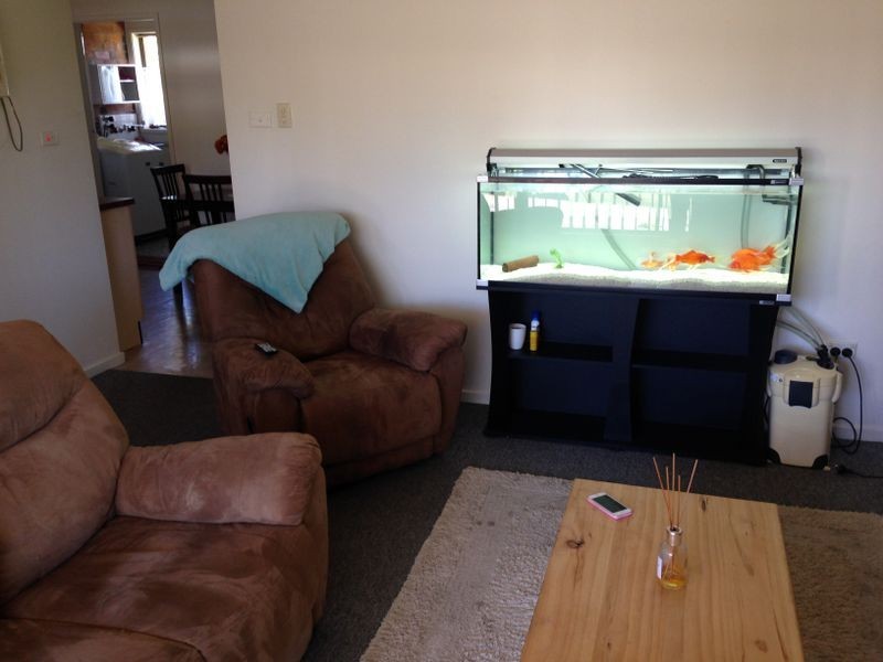 6/13 Summerville Street, Wingham NSW 2429