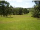 Burrell Creek NSW 2429