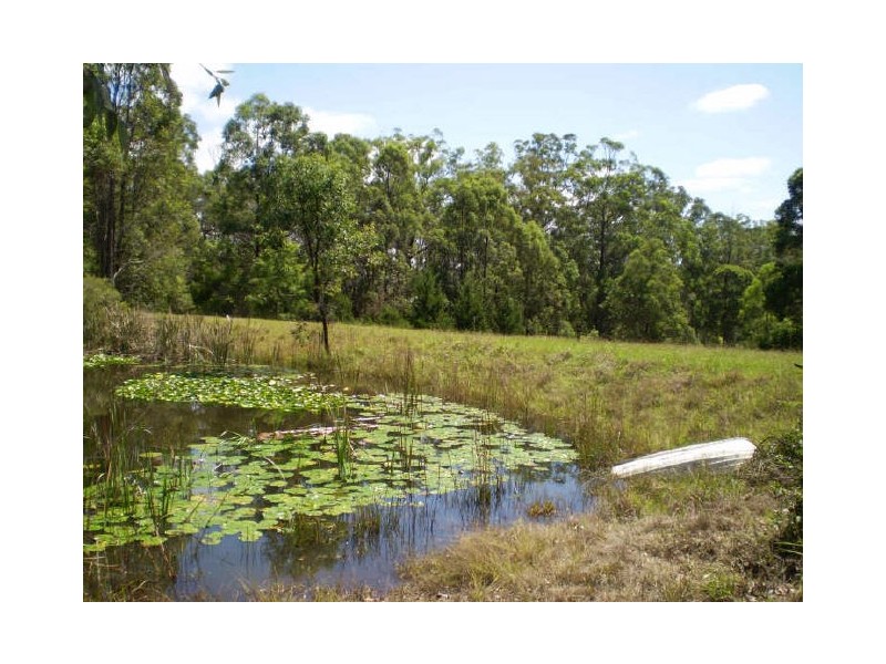 Burrell Creek NSW 2429
