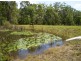 Burrell Creek NSW 2429
