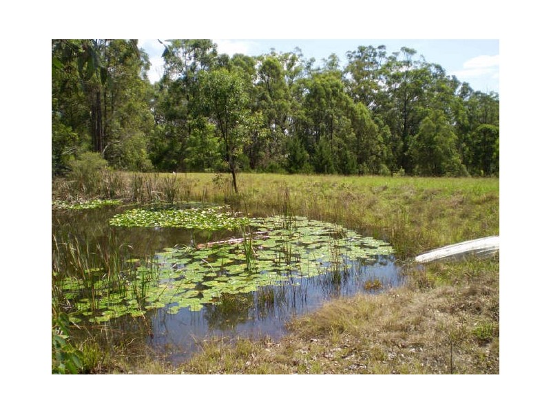 Burrell Creek NSW 2429