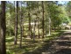 Burrell Creek NSW 2429