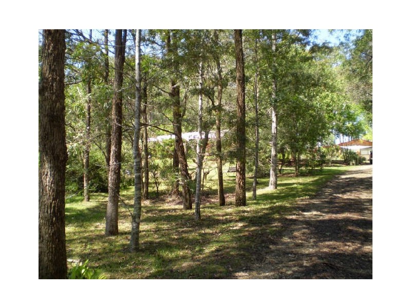 Burrell Creek NSW 2429