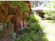 Burrell Creek NSW 2429