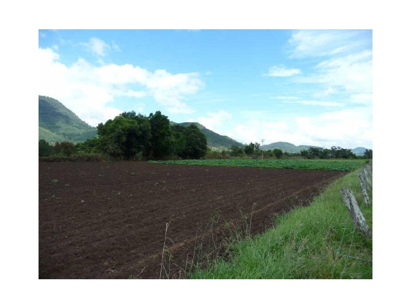 Mount George NSW 2424