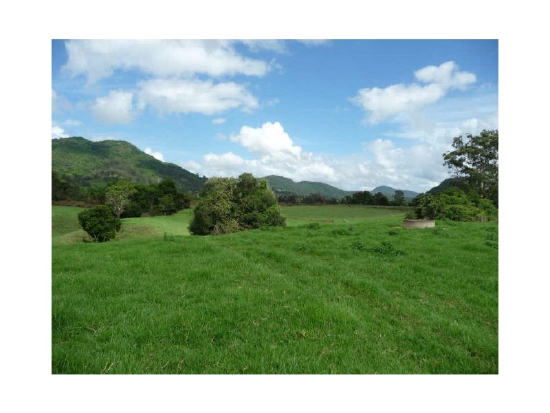 Mount George NSW 2424