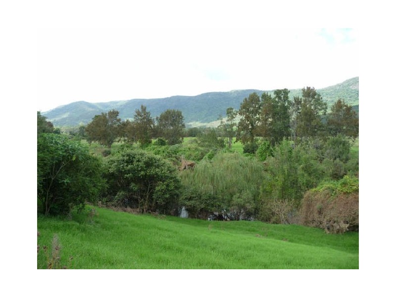 Mount George NSW 2424