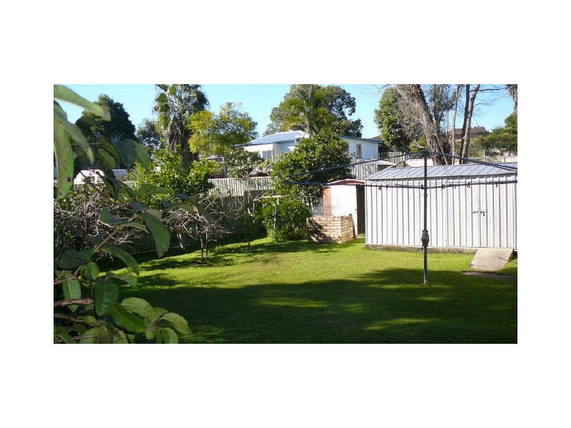 Wingham NSW 2429