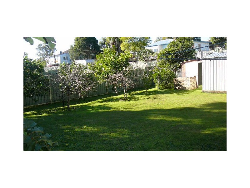 Wingham NSW 2429