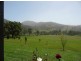 Wherrol Flat NSW 2429