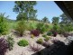 Wherrol Flat NSW 2429