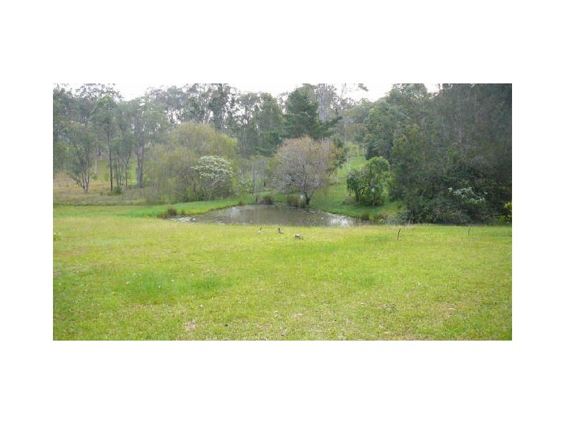 Wingham NSW 2429