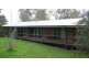 Wingham NSW 2429