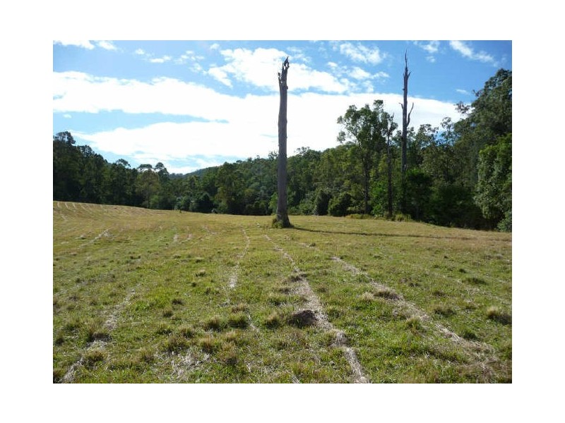 Wherrol Flat NSW 2429