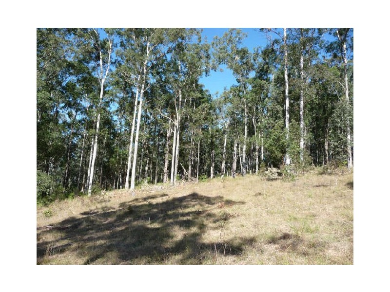 Wherrol Flat NSW 2429