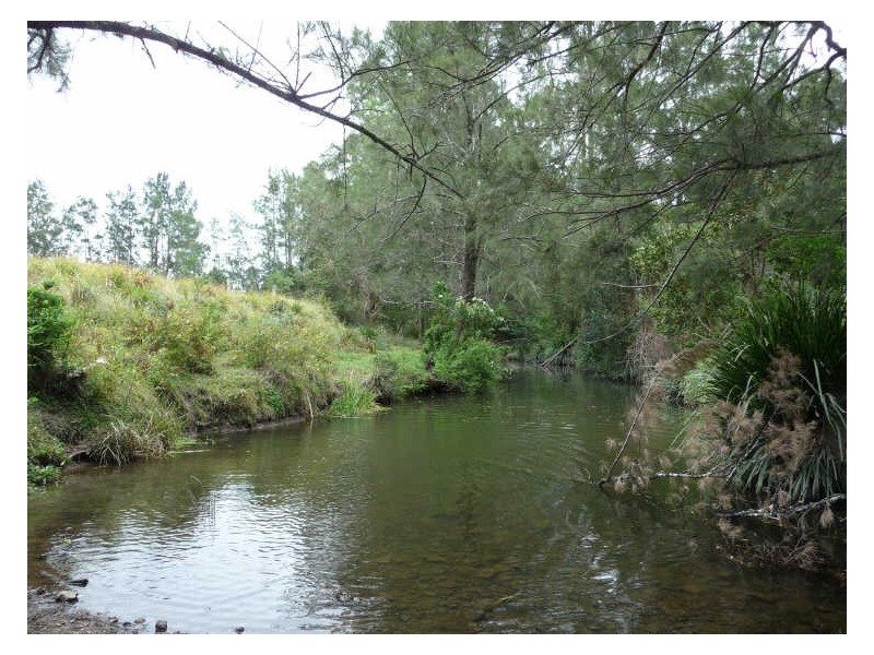 Wherrol Flat NSW 2429