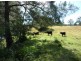Wherrol Flat NSW 2429
