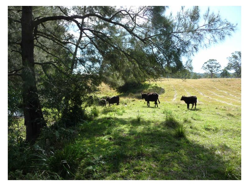 Wherrol Flat NSW 2429