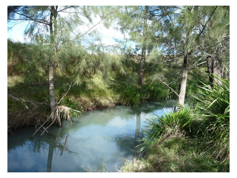 Wherrol Flat NSW 2429