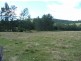 Wherrol Flat NSW 2429