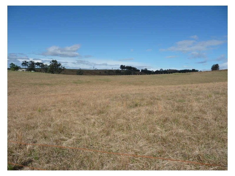 Wherrol Flat NSW 2429