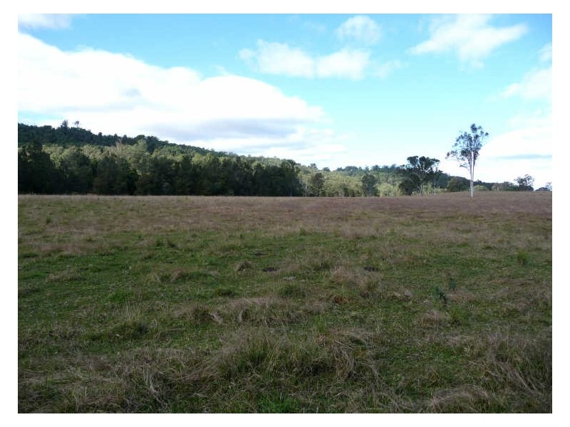 Wherrol Flat NSW 2429