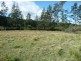 Wherrol Flat NSW 2429