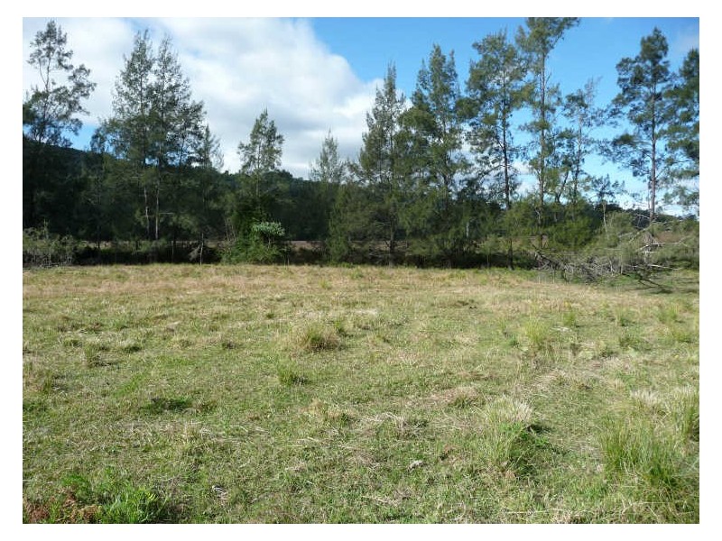 Wherrol Flat NSW 2429