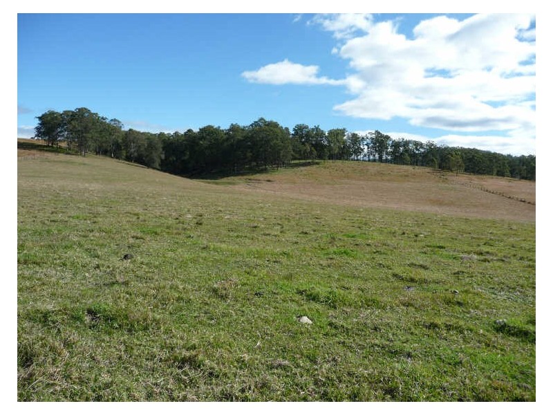 Wherrol Flat NSW 2429