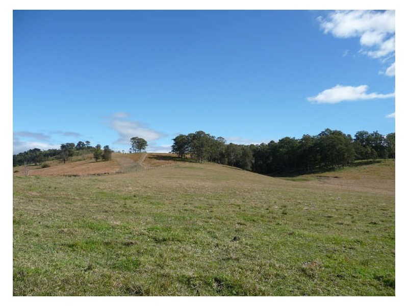 Wherrol Flat NSW 2429